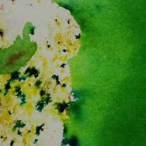 Brusho Colours 15 g - Leaf Green