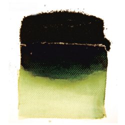 Powertex - Bister Pulver 30 g - grn