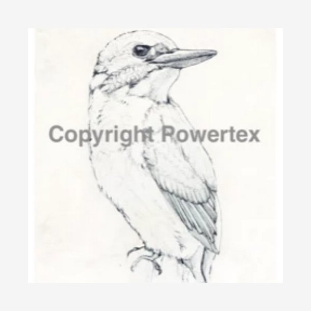 Powertex - Laserprint  The Bird 