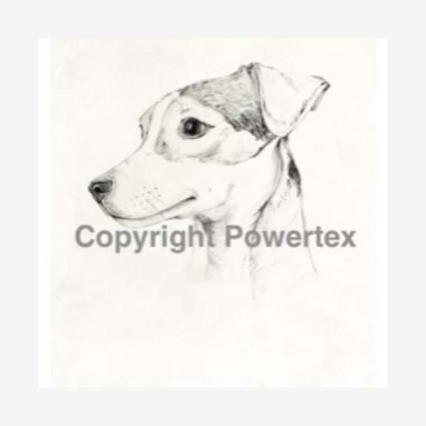 Powertex - Laserprint  His Majesty Jack Russel 