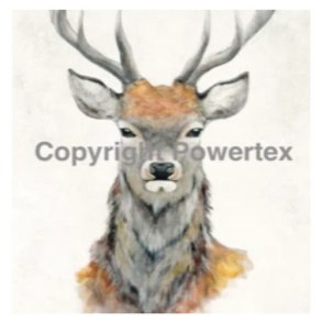 Powertex - Laserprint Dear  