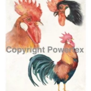 Powertex - Roosters  