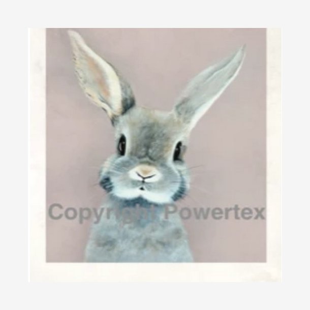 Powertex - Rabbit Laserprint  