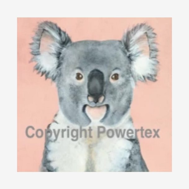 Powertex - Laserprint Koala  