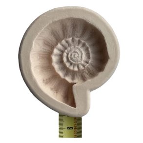 Powertex - Fossil mould Large