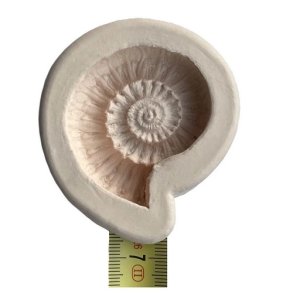 Powertex - Fossil mould medium