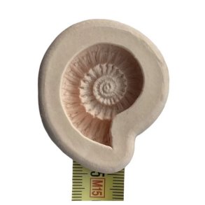 Powertex - Fossil Mould Small