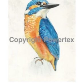 Powertex - Laserprint Bird 