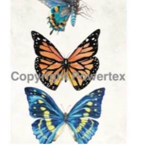 Powerprint - Laserprint Butterflies 