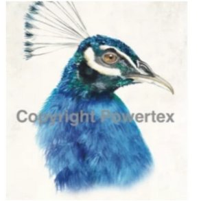 Powerprint - Laserprint Pauw 